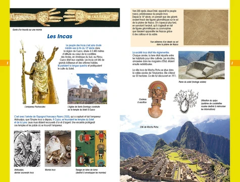 Dictionnaire Auzou Junior