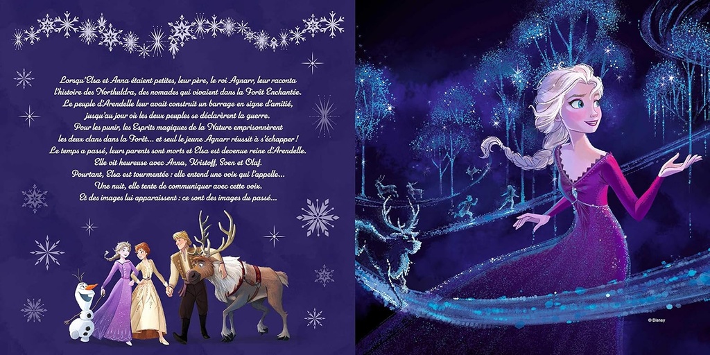 LA REINE DES NEIGES 2 - Puzzles Magiques - 5 puzzles 25 pièces - Disney