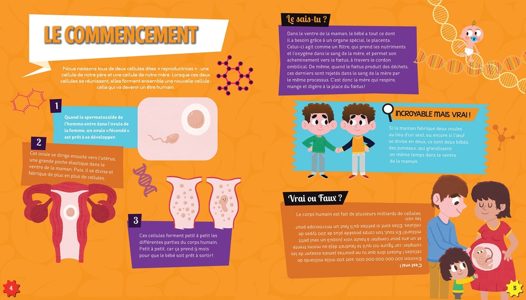 C'Est Pas Sorcier Corps Humain - Boîte Avec Accessoires