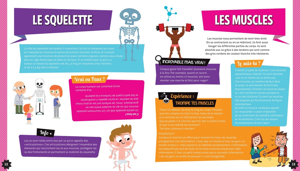 C'Est Pas Sorcier Corps Humain - Boîte Avec Accessoires