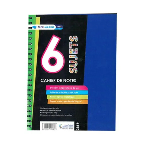 Cahier de notes 6 Sujets 21X29.7 240P - Essentiel