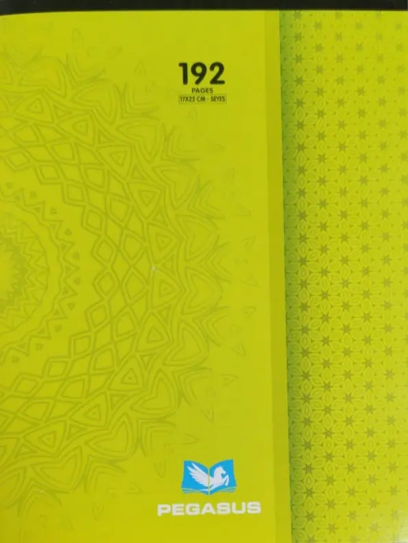 Cahier Piqué 192p 21*29.7cm PEGASUS...
