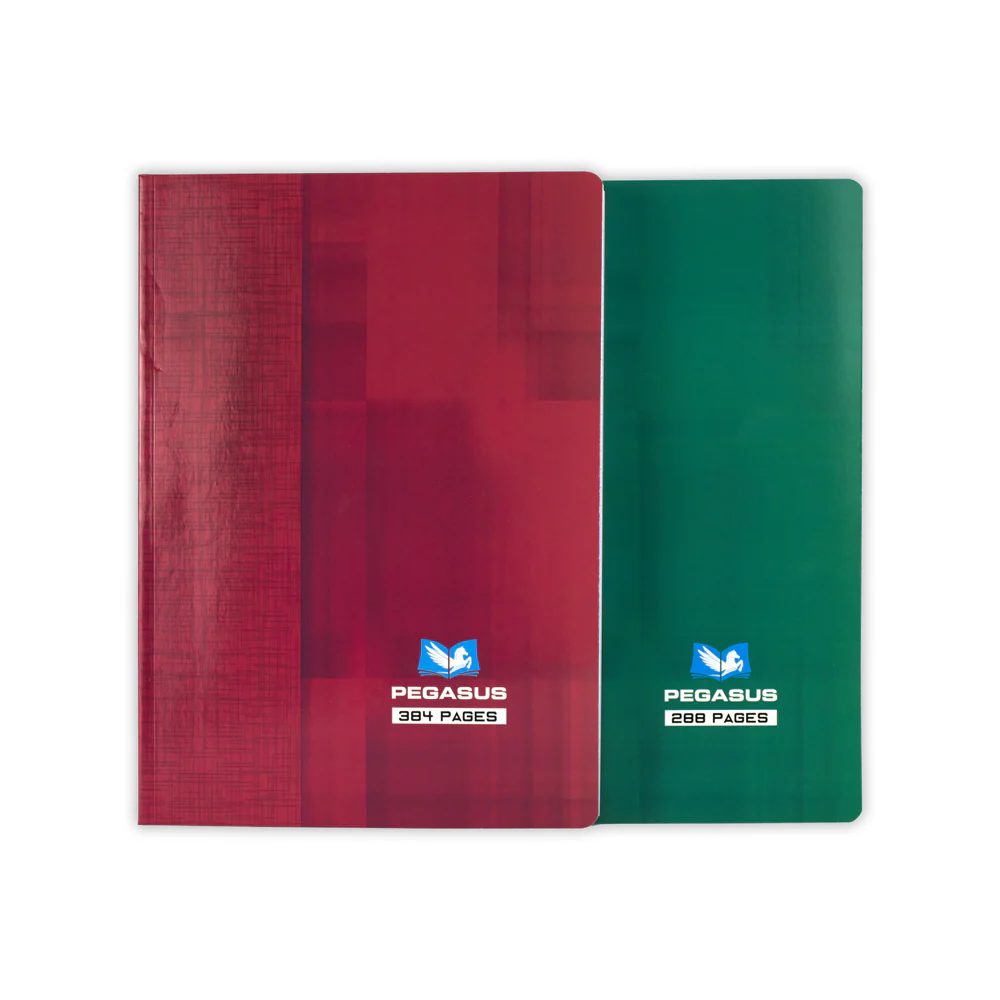 Cahier Broché  384P 21x29 pegasus