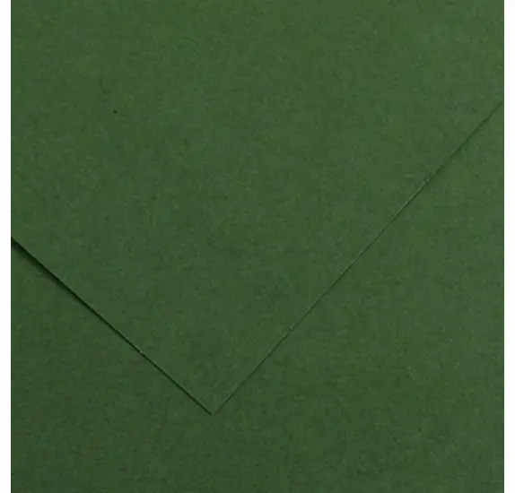 Feuilles dessins 50*65 150g vert sapin Canson