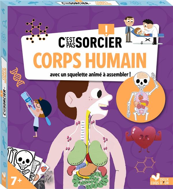 C'Est Pas Sorcier Corps Humain - Boîte Avec Accessoires