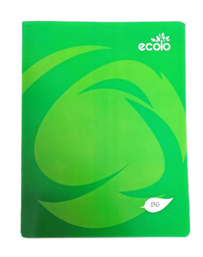 Cahier piqué séyès 96P 17*22 Ecolo