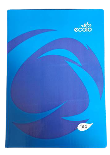 Cahier Piqué Séyès 192P 21X29 Ecolo