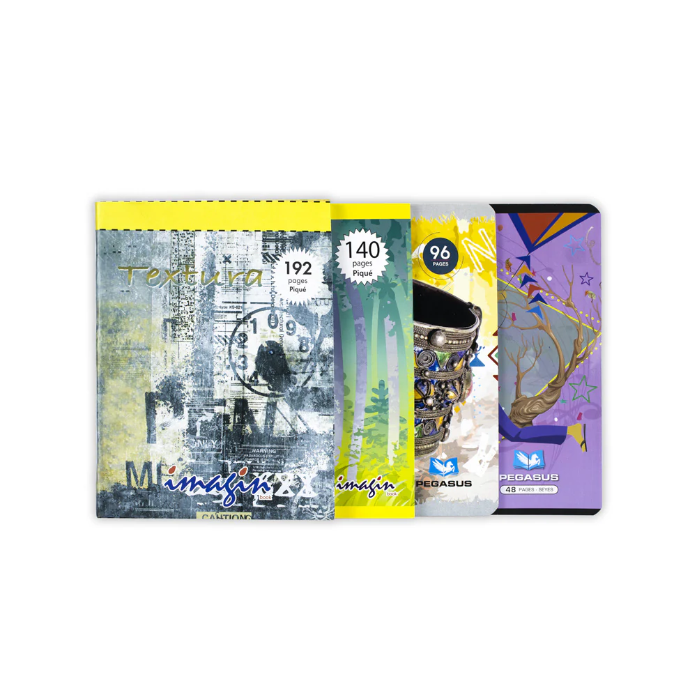 Cahier piqué séyès 48P 17x22 Pegasus...