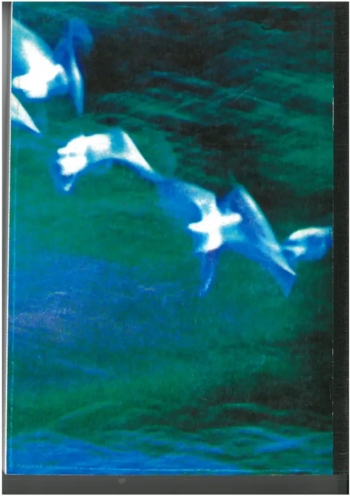 cahier broché 288P séyès 21x29 Cally