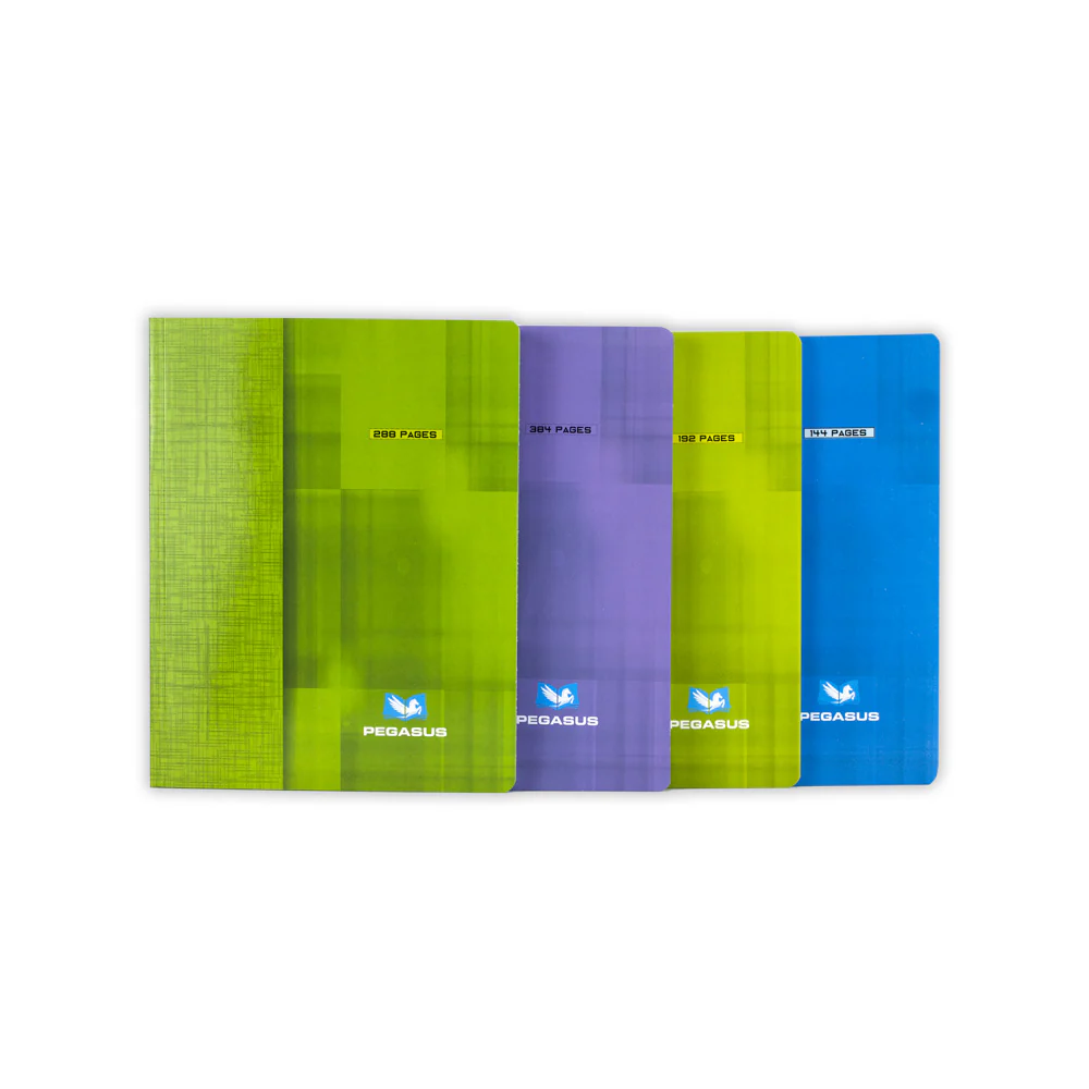 Cahier 384p 17*22 pegasus