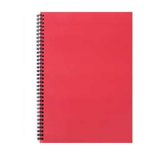 Cahier Spirale 120P