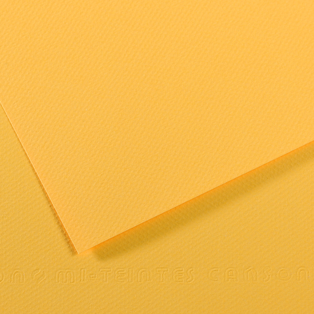 feuille de dessin BEIGE CUIR 50*65cm