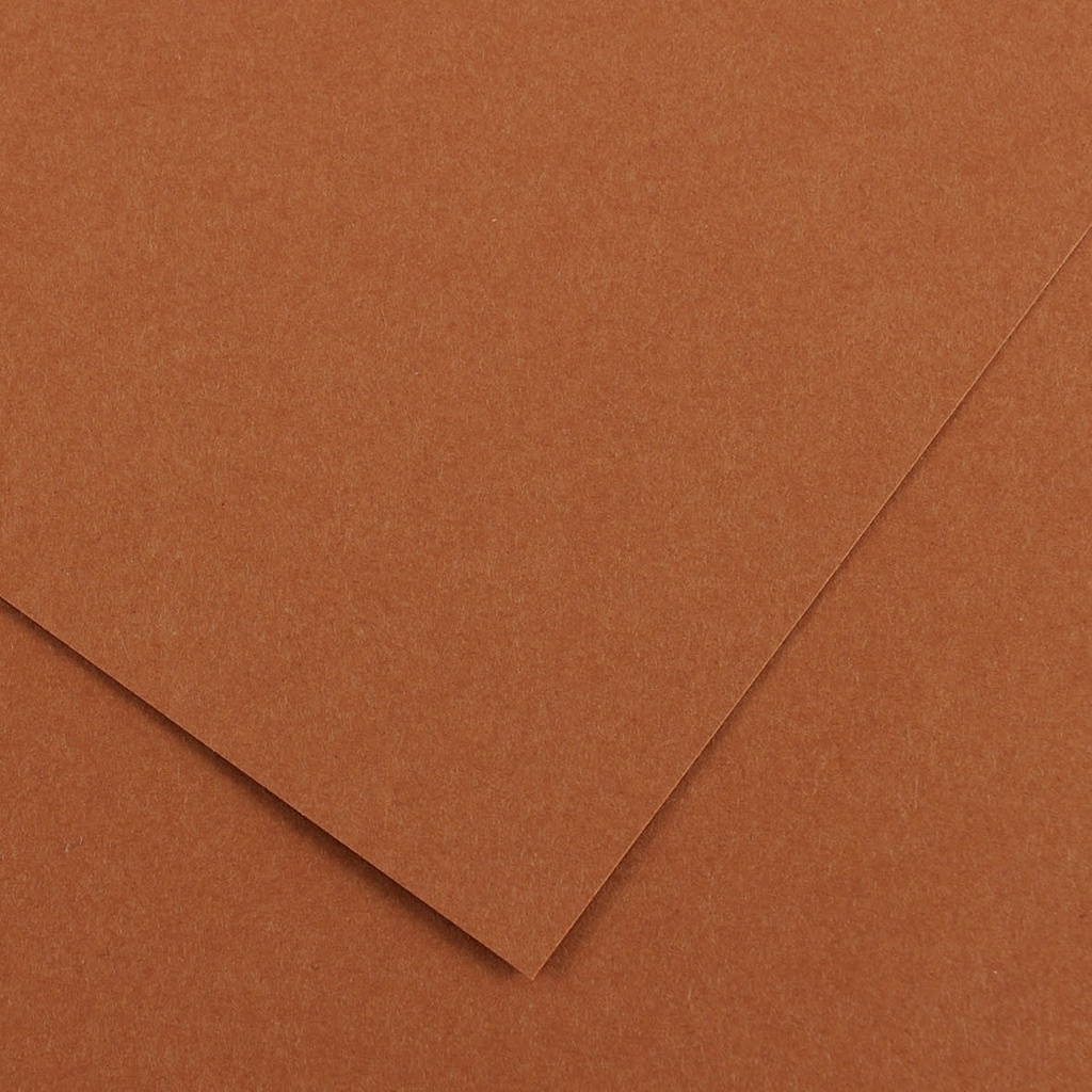 feuille de dessin 50*65 cm noisette