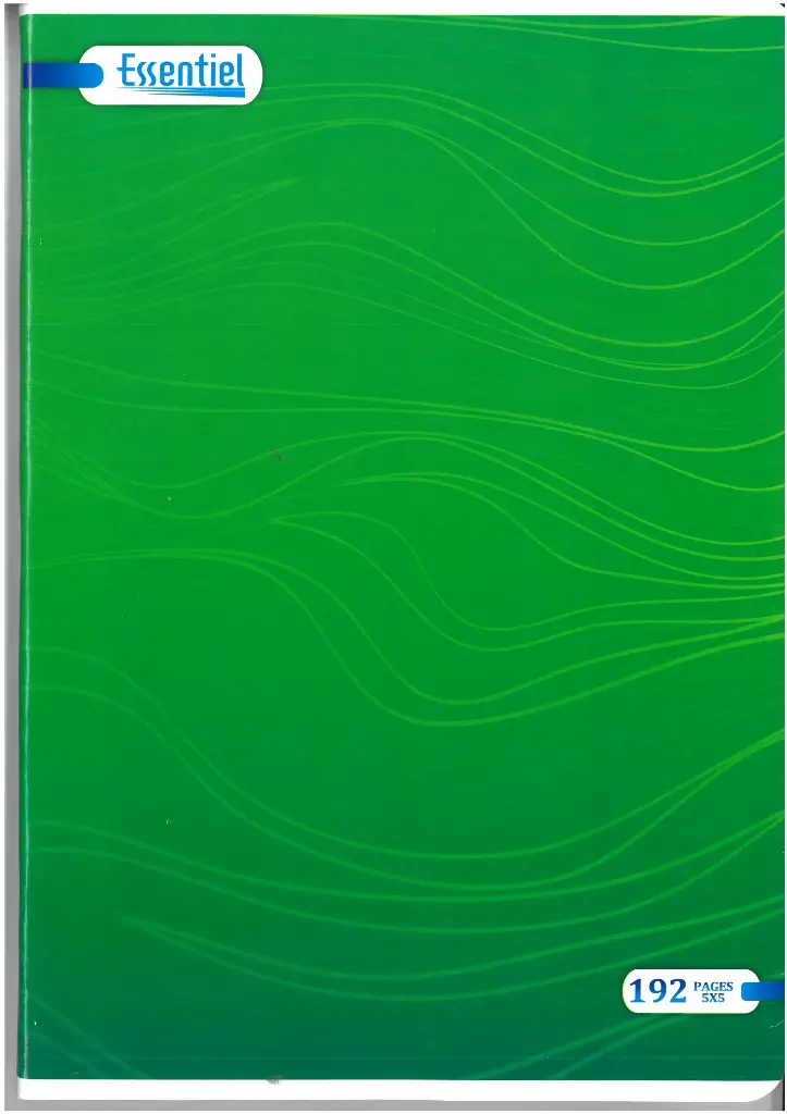 Cahier Piqué 192P 21x29.7 5x5 -Essentiel