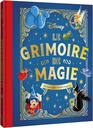 Le grimoire de magie - 25 tours pour devenir magicien