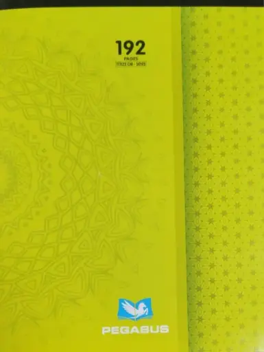 Cahier Piqué 192p 21*29.7cm PEGASUS...