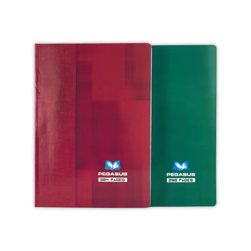 Cahier Broché  384P 21x29 pegasus