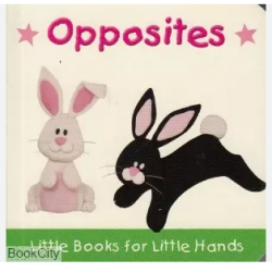 Baby Firsts - Opposites