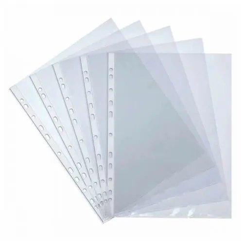 100 Pochettes perforées 21x29.7 60 mic - ecolo