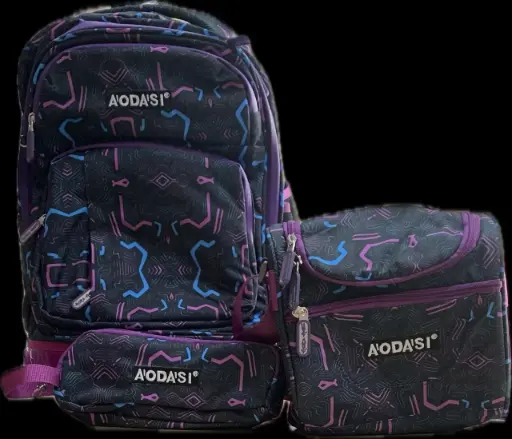 Trolley Aodasi 3 pieces 18'' Rose