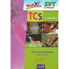 Maxi Svt Tcs
