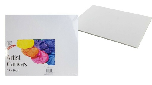 Canvas en toile 25X30Cm