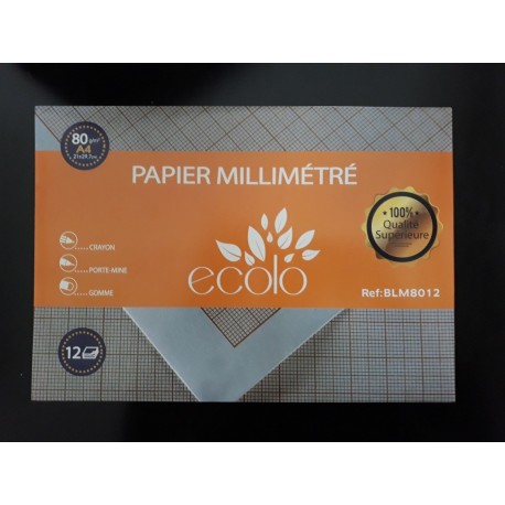 Pochette 12F Papier Milimetrique 80G