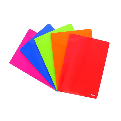 Cahier Piqué Séyès 192P 21X29 Pp Tr Ancor