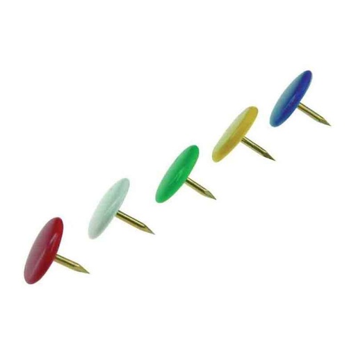 Punaise plas express 100 Pcs