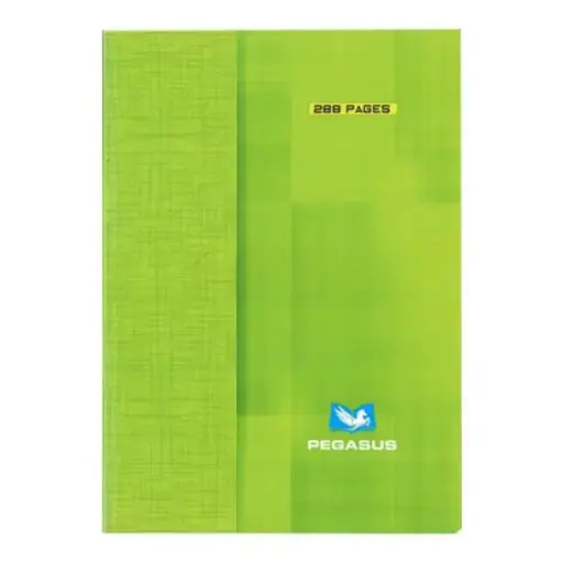 Cahier Broché 288p 17x22 pegasus...
