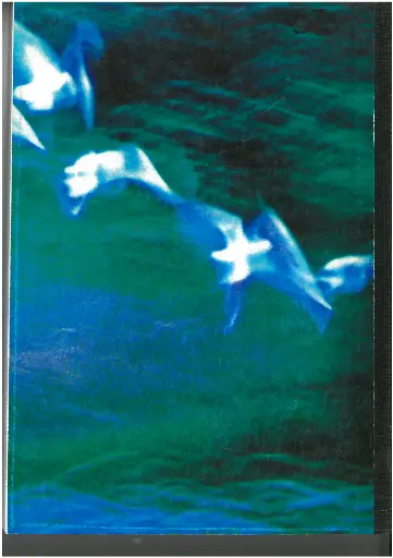 cahier broché 288P séyès 21x29 Cally