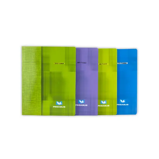 Cahier 384p 17*22 pegasus