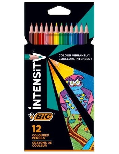 Crayon de couleurs intensity 12 bic