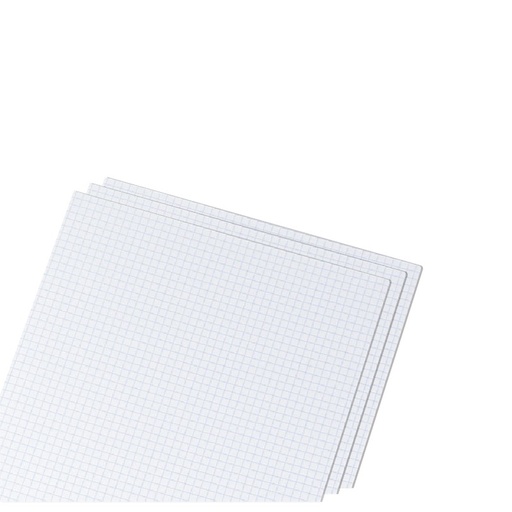 Papier ministre - pack
