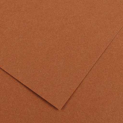 feuille de dessin 50*65 cm noisette