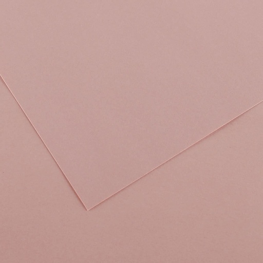 Feuille de dessin canson 50x60cm rose petal